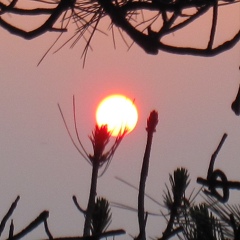 Spring Wang, Nanjing