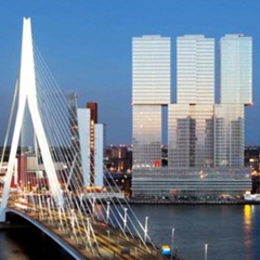 Елена Целых, Rotterdam