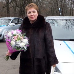 Елена Литвинова, 62 года, Святогорск