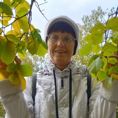 Светлана Высоцкая, 61 год, Петрозаводск