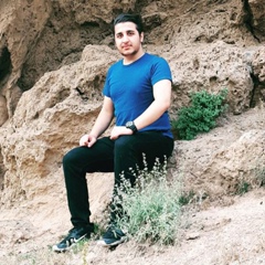 Mohammadreza Ghanbari, 25 лет, Tehran