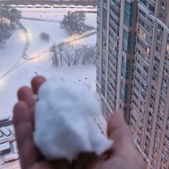 Алексей Хромов, Москва