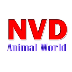 Nvd Animal-World, 33 года