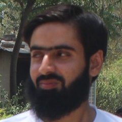 Zia Shirazi, 29 лет, Islamabad