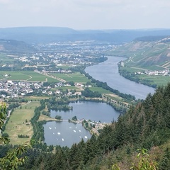 Алекс Безп, Poland