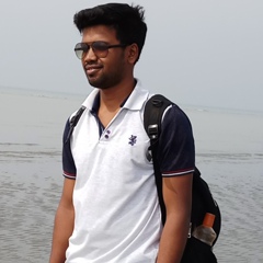 Ankit Pal, 32 года, Kolkata