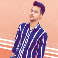 Paras Makkar, 25 лет, Chandigarh