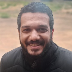 Mohamed Hamed, 30 лет, Cairo