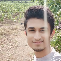 Jaydip Sohaliya, 26 лет, Surat