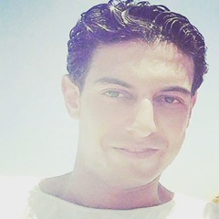 Mahmoud Meshref, 35 лет, Tanta