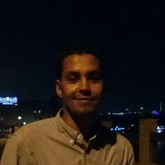 Ahmed Syad, 38 лет, Luxor