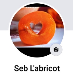 Seb L'abricot, 43 года, Bordeaux