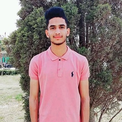 Mostafa Nour, 25 лет, Faiyum