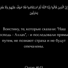 Джамал Шейхов, 26 лет, Москва