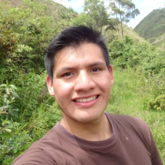 Wilding Gongora, 27 лет, Chachapoyas