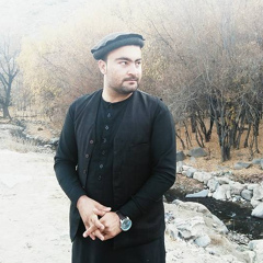 Ramin Tanha, 30 лет, Kabul