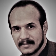 Mostafa Sedighi, 39 лет, Sari