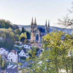 Эрвин Гравендер, 34 года, Bonn