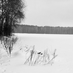 Юлия Черкас, 36 лет, Гомель