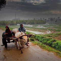 Taran Dhaliwal, Ludhiana