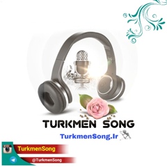 Turkmen Song, 26 лет, Gonbad-e Kavus