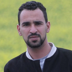 Houssam Benkrane, 32 года, Ouargla