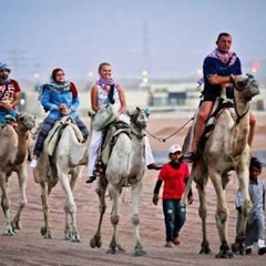 Tito Rosky, 37 лет, Giza