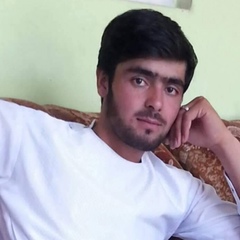 Jawid Rasuly, 32 года, Mashhad