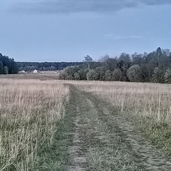 Марат Салаватович, 37 лет, Пермь