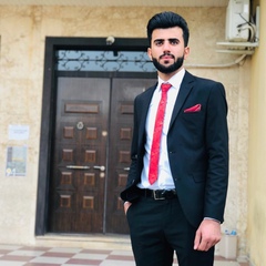 Majeed Boss, 26 лет, Erbil