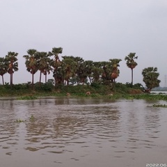 Sikdar Azad, Dhaka