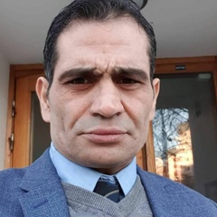 Amir Taherkhani, 47 лет, Karlstad