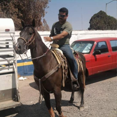 Juan Carlos, 39 лет, Ciudad Juárez