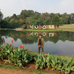 Aung-Aung Phyo, 36 лет, Yangon