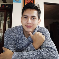 Daniel Ruiz, 25 лет, Bogotá