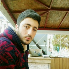 Taner Çelebi, 33 года, Diyarbakır