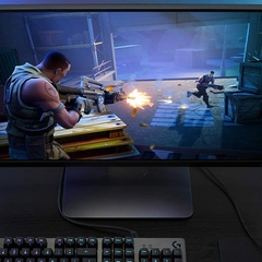 Amazon Pc-Gamer, 28 лет