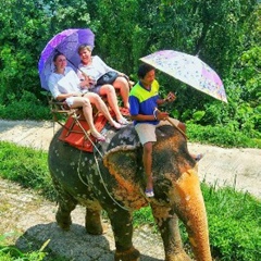 Юлия Счастливая, Phuket