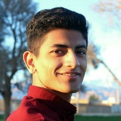 Mojtaba Milani, 25 лет, Qom