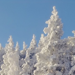 Зоя Егорова, 32 года, Бижбуляк