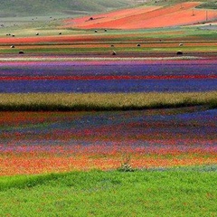 Марина Чередниченко, Тверь