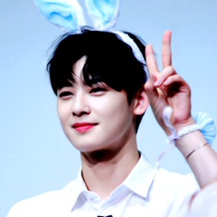 Cha Eunwoo