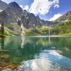 Александр Яновский, Санкт-Петербург