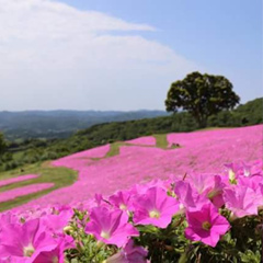 Ngenge Khine, 48 лет, Pyay