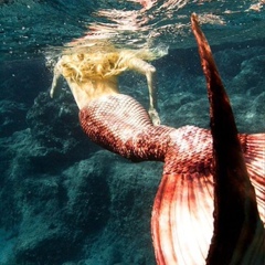 Mermaid Ocean, Sydney