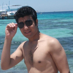 Mohammed Shawky, Sharm el-Sheikh