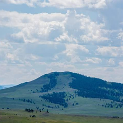 Berywam Berywam, 38 лет, Ulaanbaatar