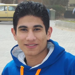 Samir Nabil, 29 лет, Mansoura