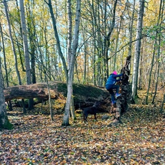 Окс Бар, Санкт-Петербург