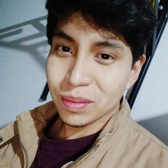 Alexander Ludeña, 28 лет, Lima